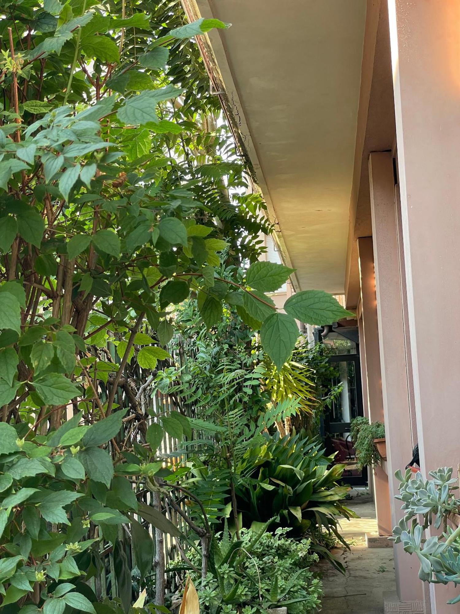 Hotel Berlino 3*
